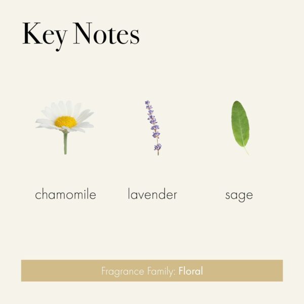 Chamomile Lavender (Bedroom) Lafco Candle Key Notes