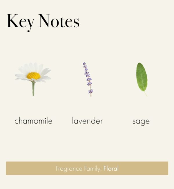 Chamomile Lavender (Bedroom) Lafco Candle Key Notes
